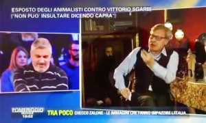 sgarbi tv capre