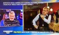 sgarbi tv capre