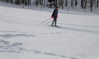 skis 7612818 640