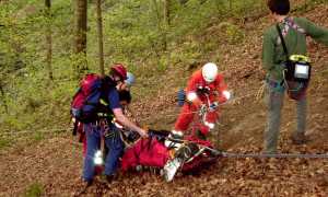 soccorso barella bosco cani