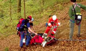 soccorso barella bosco