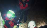 soccorso bosco