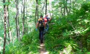 soccorso bosco sentiero