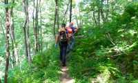 soccorso bosco sentiero