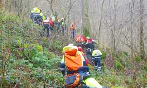soccorso fila bosco recupero