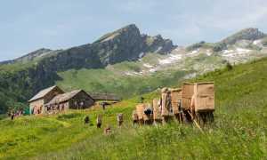 spalloni foto MoroniWalter copia