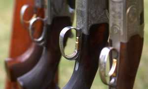 sporting decoys 2233607 640