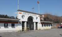 stadio pedroli copia