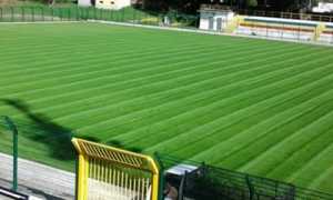 stadio pedroli