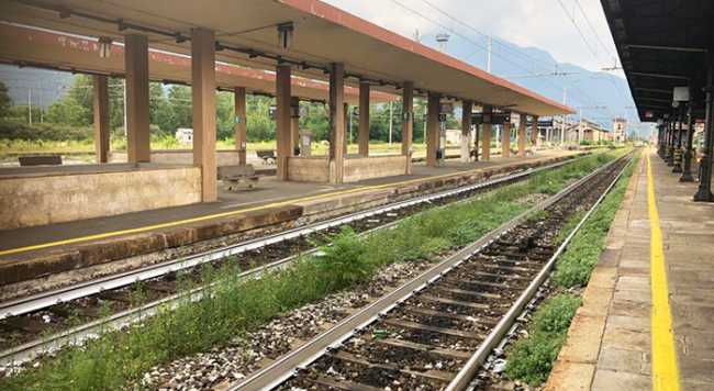 stazione binari erbacce
