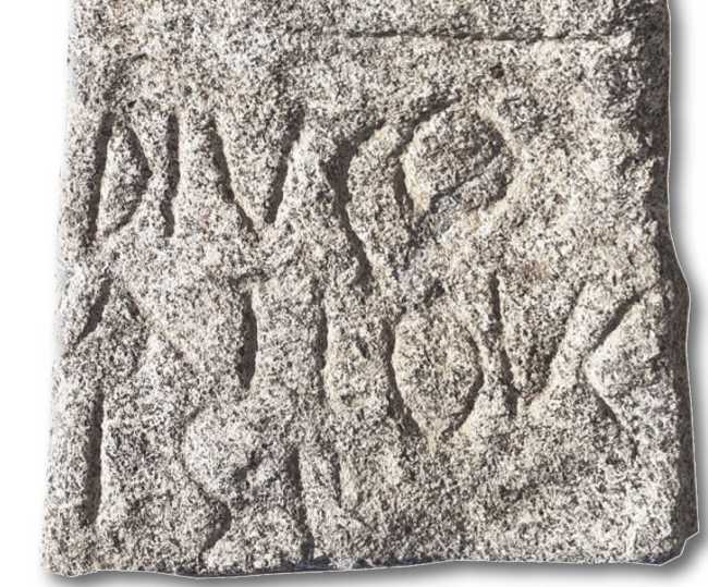 stele bee