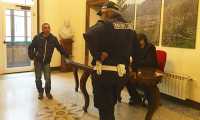 stelitano polizia municipale