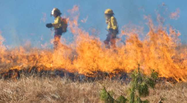 sterpaglie incendio vigili