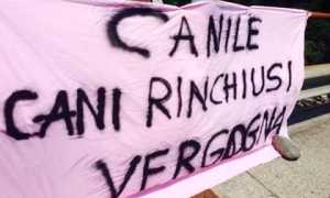 striscione canile verbania