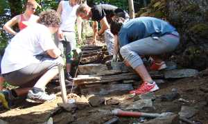 studenti geometri einaudi lavoro