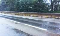 superstrada piante