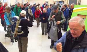 svizzeri cai berna srtazione