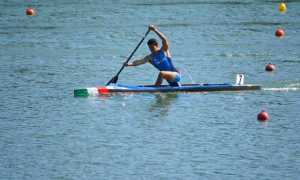 tacchini carlo mag 16