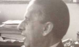 tami armando profilo