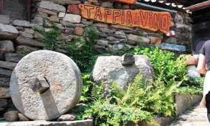 tappia di vino