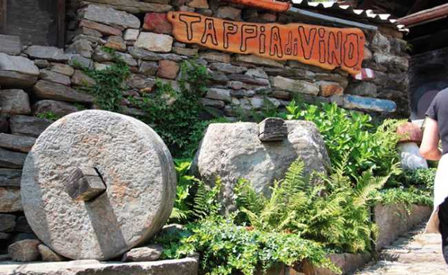 tappia di vino