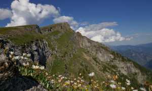 teggiolo monte