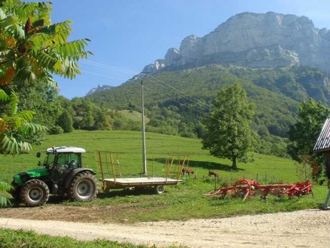 terrenoagricolomontano700