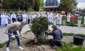titon cerimonia 1