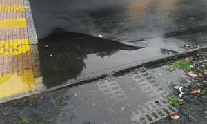 tombino c cairoli 2015