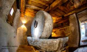 torchio malesco Massimiliano Riotti