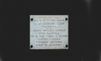 torototela lapide
