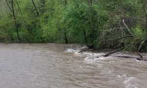 torrente sizzone