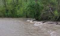 torrente sizzone