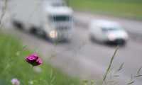 traffic 113843 640
