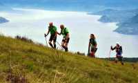 trail motty