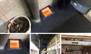 trappole topi stazione