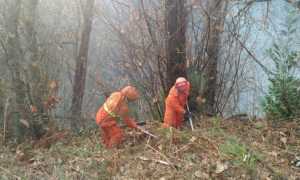 trarego incendio cinque