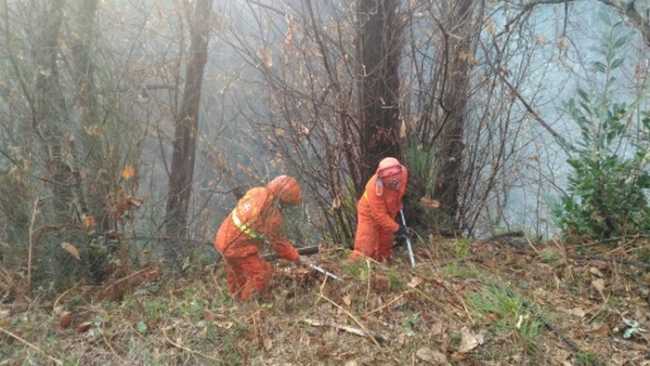 trarego incendio cinque