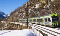 treno bls