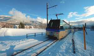 treno vigezzina neve