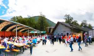 trontano funghi capannoni