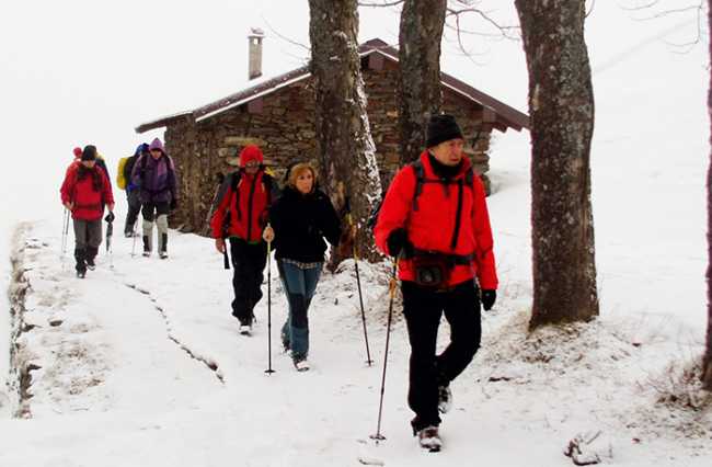 trotapian neve rosso
