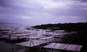 ungheria