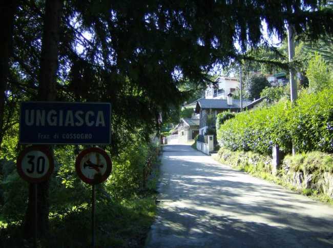 ungiasca generica