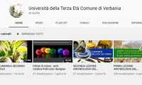 ute vb youtube