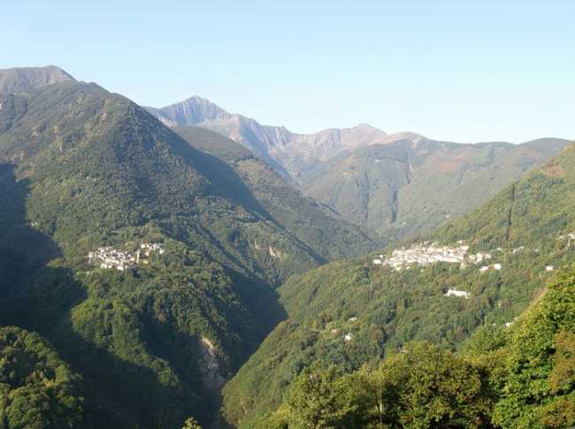 v cannob