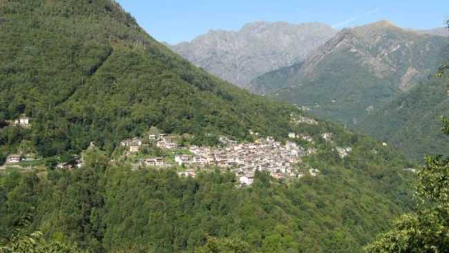 v cannobina