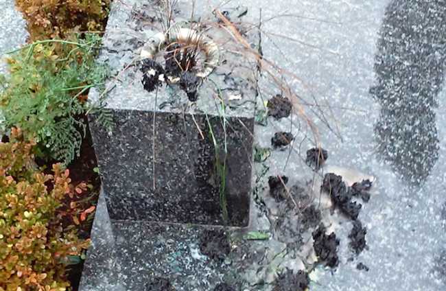 vandali cimitero vaso rotto