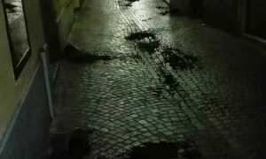 vandali san fabiano genn 16