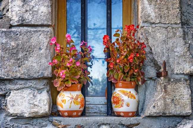 vase 2899397 960 720